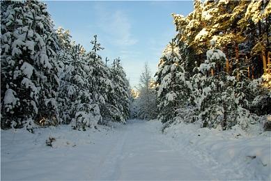 传闻：SIE不再过早公布游戏 现在最多提前2年公布新作